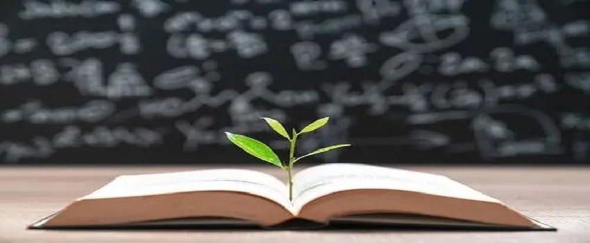 本科期間如何為自己留學(xué)加拿大做準(zhǔn)備？