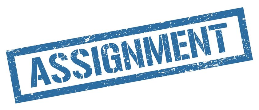 assignment怎么寫(xiě)