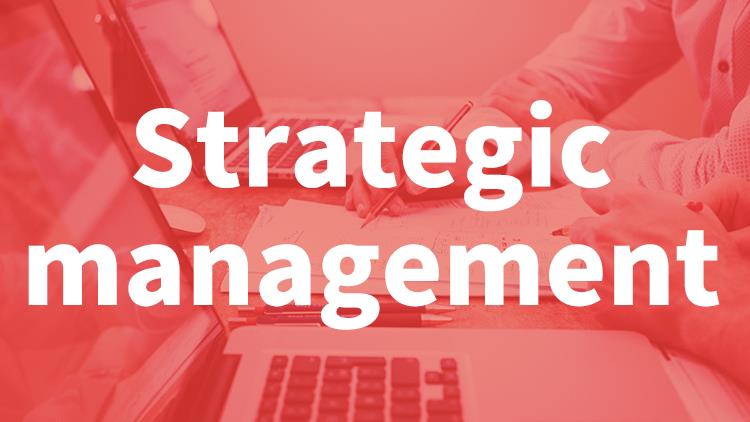 戰(zhàn)略管理系列三