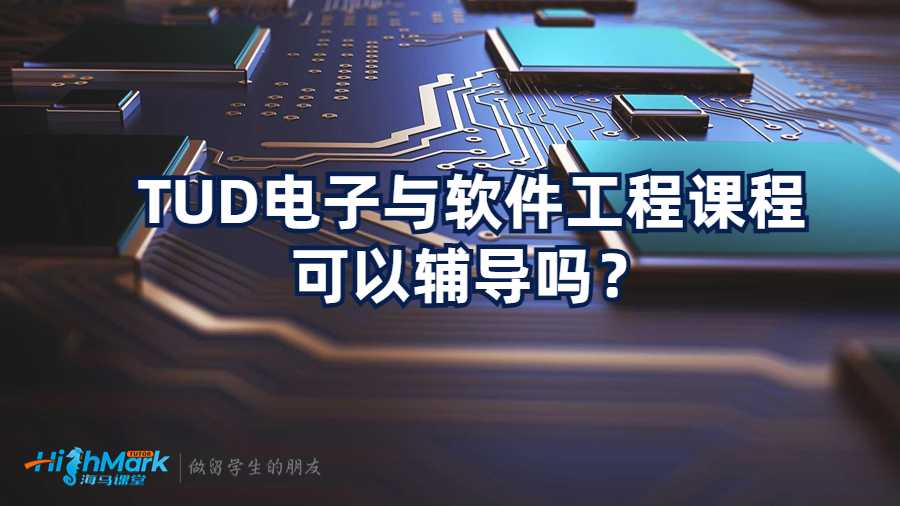 TUD電子與軟件工程課程可以輔導(dǎo)嗎？