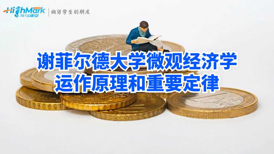 微觀經(jīng)濟學(xué)