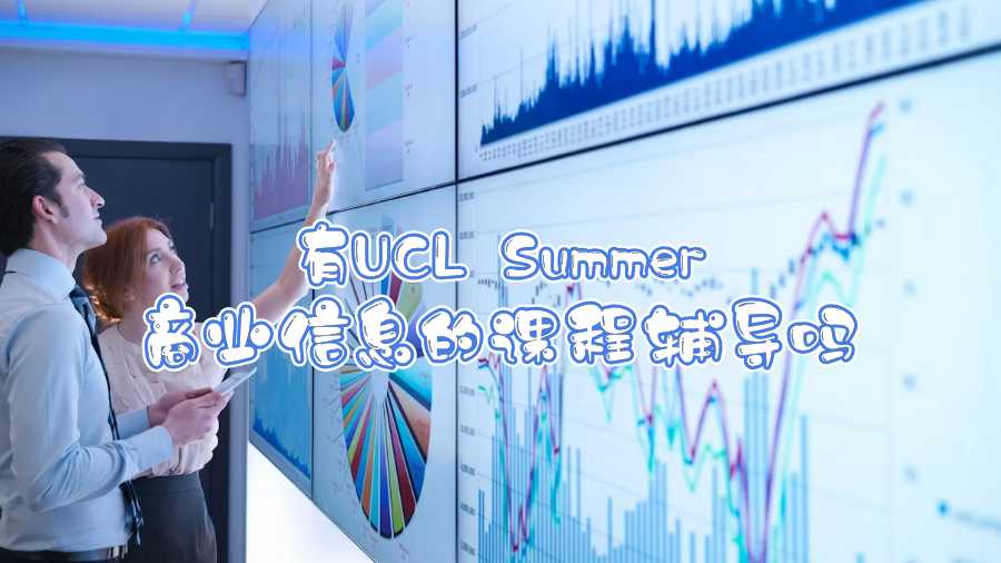 有UCL Summer商業(yè)信息的課程輔導嗎