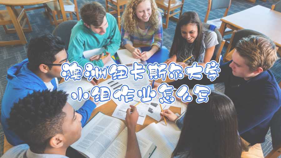 澳洲紐卡斯?fàn)柎髮W(xué)小組作業(yè)怎么寫(xiě)