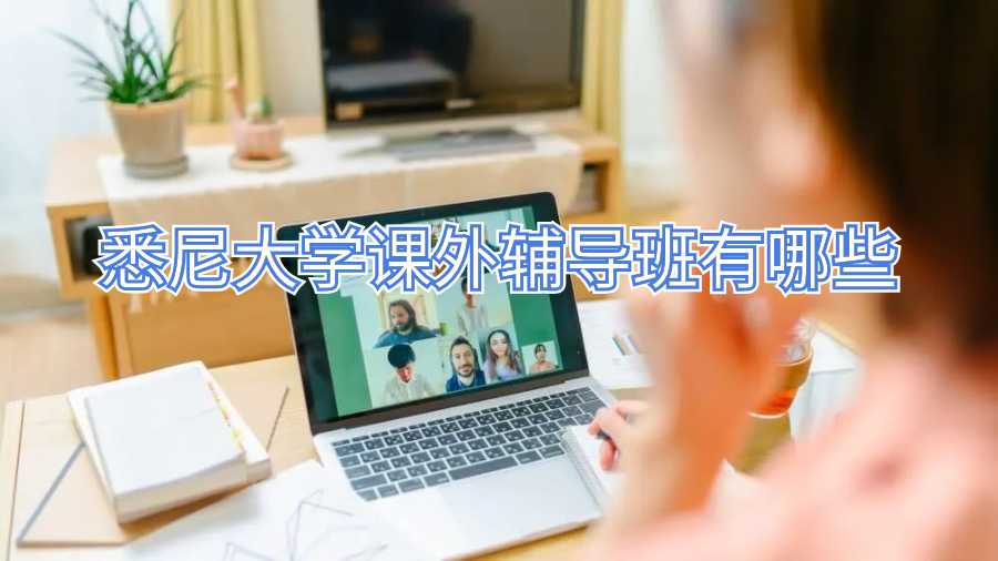 悉尼大學(xué)課外輔導(dǎo)班有哪些