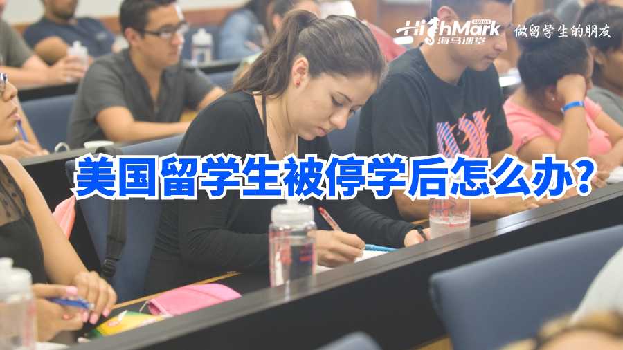 美國留學(xué)生被停學(xué)后怎么辦?