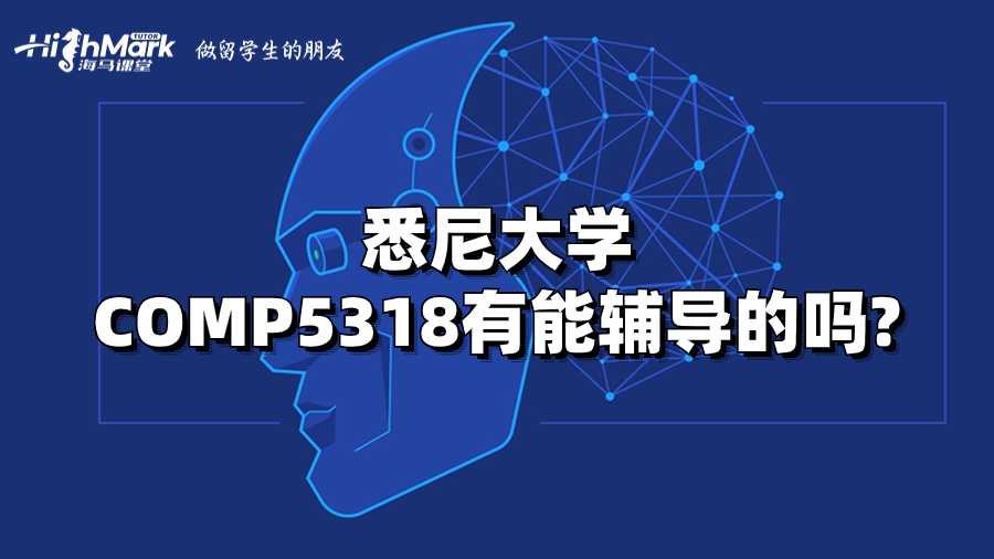 悉尼大學COMP5318有能輔導的嗎?