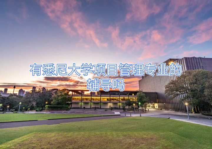 有悉尼大學(xué)項(xiàng)目管理專業(yè)的輔導(dǎo)嗎