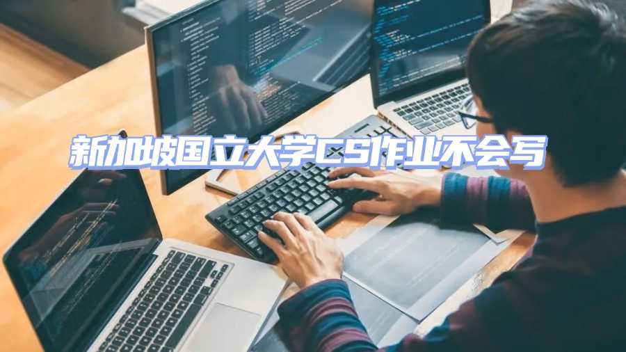 新加坡國立大學CS作業(yè)輔導