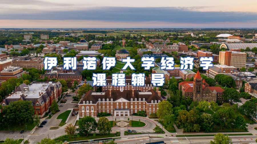 伊利諾伊大學經(jīng)濟學課程輔導