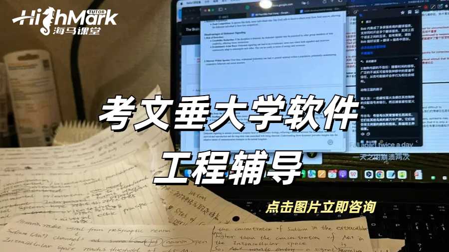 考文垂大學軟件工程輔導