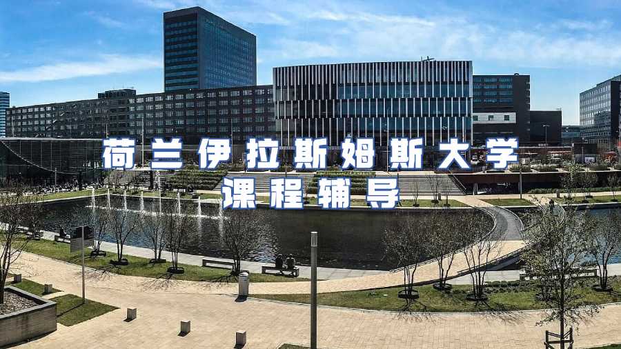 荷蘭伊拉斯姆斯大學(xué)課程輔導(dǎo)