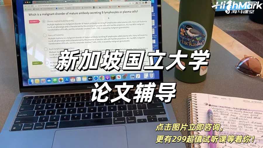 新加坡國立大學論文輔導