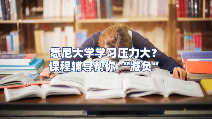 悉尼大學(xué)課程輔導(dǎo)