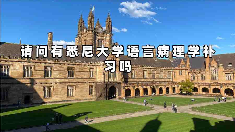 悉尼大學語言病理學補習