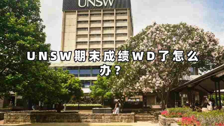 UNSW期末成績WD了怎么辦？