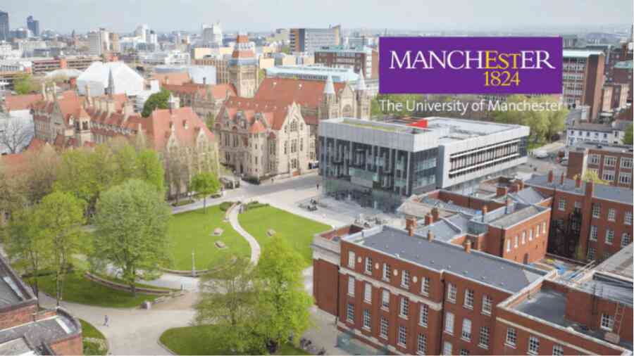 曼徹斯特大學課程預習