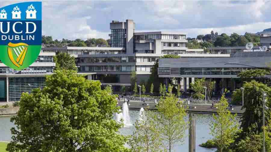 UCD都柏林大學(xué)學(xué)術(shù)不端申訴流程