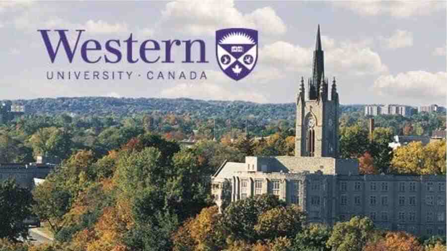 韋仕敦大學(xué)課程輔導(dǎo)哪家好