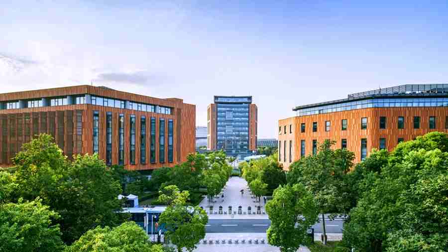 西交利物浦大學(xué)DTS001 Final Coursework教程